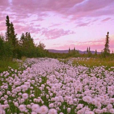 2023年香港资料精准