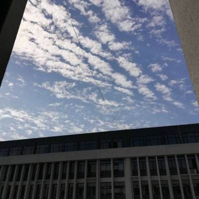 71771威尼斯.Cmapp下载